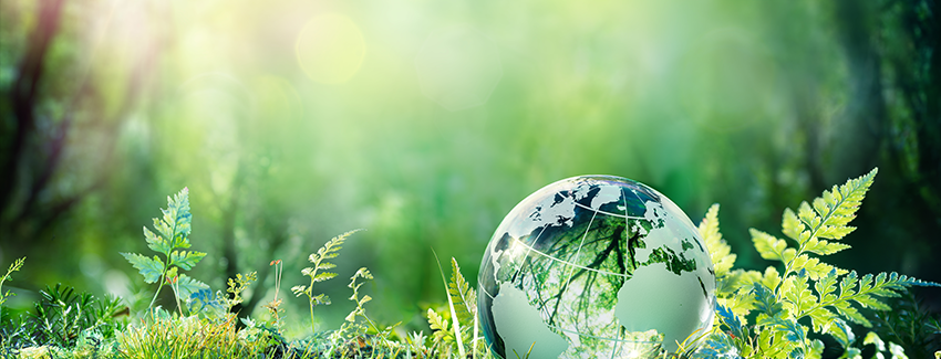 Sustainable Decisions