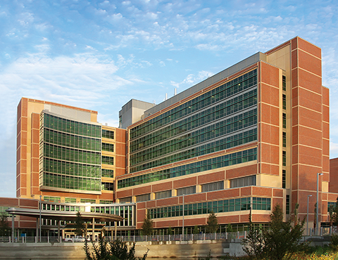 University of Florida Health Shands Hospital