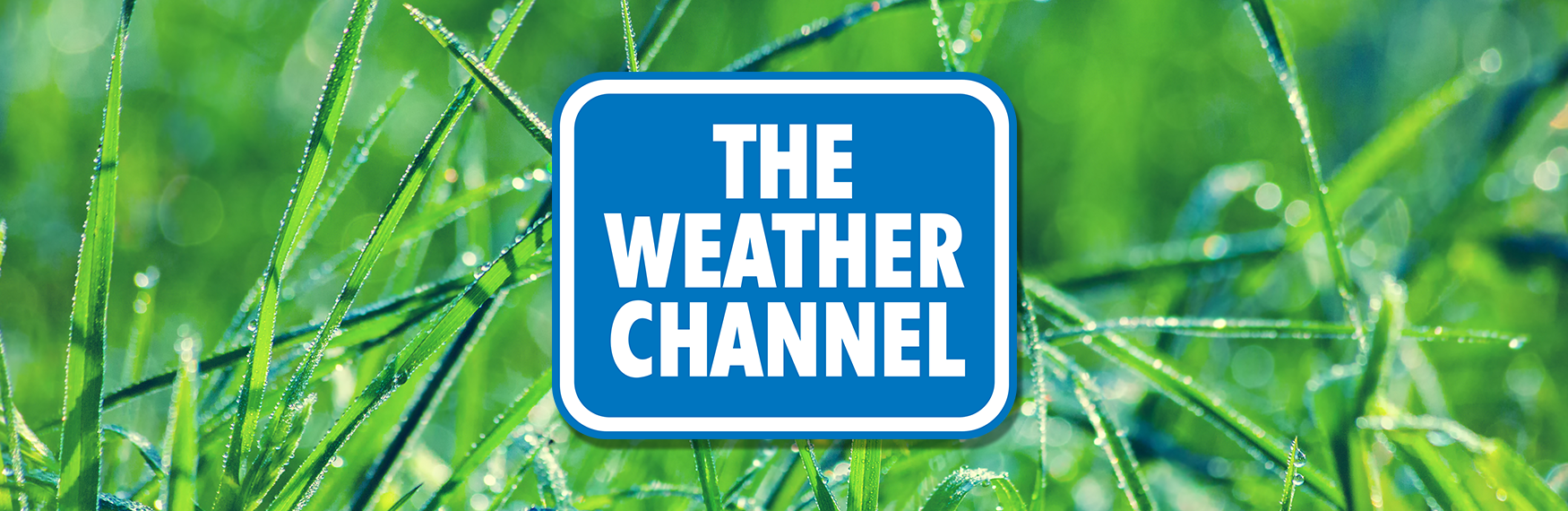 The Weather Channel